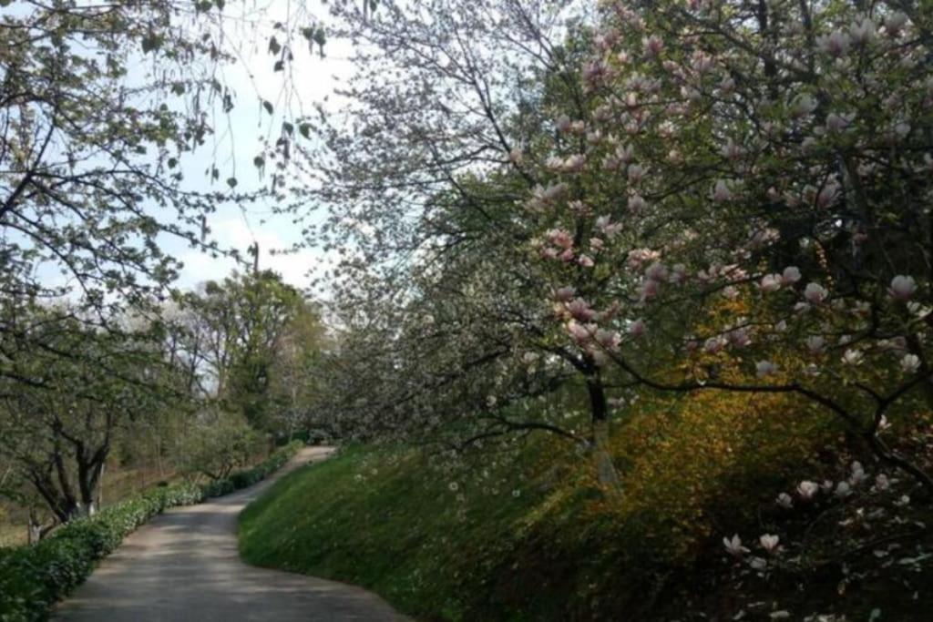 Cozzy Apartment In Nature Zagreb Ngoại thất bức ảnh